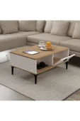 Evmo Home 2002 Sare Orta Sehpa 2 Kapaklı Sepet - Beyaz - 4