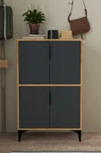 Evmo Home 1403 Ada Ayakkabılık 4 Raflı 4 Kapaklı Çok Amaçlı Dolap Kiler Safir Antrasit - 2