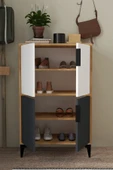 Evmo Home 1404 Ada Ayakkabılık 4 Raflı 4 Kapaklı Çok Amaçlı Dolap Kiler Safir Beyaz Antrasit Safir - 3