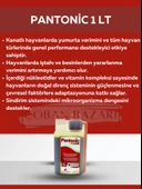 Royal İlaç Royal İlaç Pantonic 1 Lt. Vitamin ve Mineral Desteği thumbnail 1
