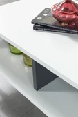 Evmo Home 2012 Şile Metal Ayaklı Orta Sehpa , Salon Sehpası Beyaz - Antrasit - 4