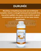 SOSYETE COBAN Durumix Hayvan Sağlığına B1, B2, B6, B12 Desteği thumbnail 1