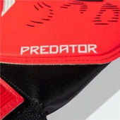 PRED GL TRN J thumbnail 2