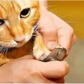 Evcil Hayvan Tırnak Makası Ve Törpü Seti Manikür Pedikür Pati Bakım Aleti Kaymaz Sap - 3