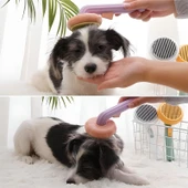 Plastik Yeşil Evcil Hayvan Bakım Pet Fırçası Çok Amaçlı Pet Fırçası Yeşil thumbnail 4