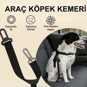 Beylini Köpek Araç Emniyet Kemeri Dayanıklı Kopmaz İp Toka Güvenli Rahat Kedi Köpek Emniyet Kemeri 80 CM - 1