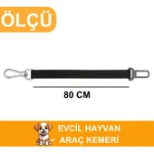 Beylini Köpek Araç Emniyet Kemeri Dayanıklı Kopmaz İp Toka Güvenli Rahat Kedi Köpek Emniyet Kemeri 80 CM - 5