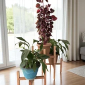 MoxoCreative Üçlü Ahşap Saksı Standı Çiçek Saksı Altlığı 3 Adet Raf Çiçeklik Stand - 2