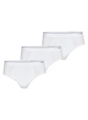 Blackspade 9672 3'Lü Paket Beyaz Likralı Erkek Slip thumbnail 1