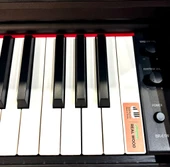 BRAHNER DİJİTAL PİYANO BR-61 BK thumbnail 4