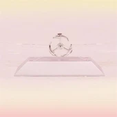 BUFFER® Dekoratif Masa Üstü Obje Manyetik Kinetik Orbital Dönen Yunuslar thumbnail 1