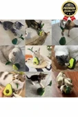 Yeni Nesil Eğlenceli Döner Mekanizmalı Avokado Şeklinde Kedi Naneli ve Mama Hazneli Kedi Oyuncağı - 7