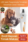 Çok Amaçlı Sıçrama Koruyucu Pilli Kedi Köpek Kuş Evcil Hayvan Ledli Işıklı Törpülü Tırnak Makası - 1