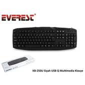 EVEREST KB-250U Q Usb Multimedya Siyah Klavye - 1