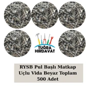 RYSB Pul Başlı Matkap Uçlu Vida Beyaz 3.9 mm (13-16-19-22-25 mm) 500 Adet - 2