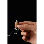 10 Adet Geri Akış Backflow Şelale Tütsü Konisi Tütsü Back Lotus Vanilla thumbnail 2