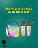 İki Mikrofonlu Renkli LED Işıklı Karaoke Cihazı thumbnail 1
