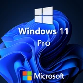 Windows 11 Pro Lisans Key - 2