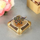 360 Derece Güneş Enerjili Gold Renk Vitrin Standı - 4