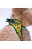 Pawstar Watermelon Air-mesh Göğüs Tasması Kedi Köpek Göğüs Tasması Karpuz Desenli Köpek Tasması - 4