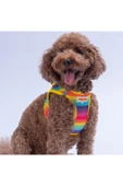 Pawstar Rainbow Air-mesh Göğüs Tasması Kedi Köpek Göğüs Tasması Gökkuşağı Desenli Köpek Tasması - 1