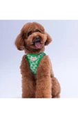 Pawstar Frog Air-mesh Göğüs Tasması Kedi Köpek Göğüs Tasması Kurbağa Desenli Köpek Tasması - 1