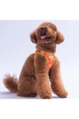 Pawstar Poodle Air-mesh Göğüs Tasması Kedi Köpek Göğüs Tasması thumbnail 3