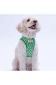 Pawstar Frog Air-mesh Göğüs Tasması Kedi Köpek Göğüs Tasması Kurbağa Desenli Köpek Tasması - 3