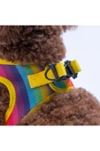 Pawstar Rainbow Air-mesh Göğüs Tasması Kedi Köpek Göğüs Tasması Gökkuşağı Desenli Köpek Tasması - 4