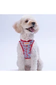 Pawstar Mushroom Air-mesh Göğüs Tasması Kedi Köpek Göğüs Tasması Mantar Desenli Köpek Tasması - 1