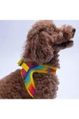 Pawstar Rainbow Air-mesh Göğüs Tasması Kedi Köpek Göğüs Tasması Gökkuşağı Desenli Köpek Tasması - 3