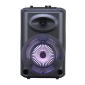 Zore GD-903 Dijital LED Göstergeli FM Radyolu Mikrofonlu RGB TWS 8 inç Stereo Bass Kablosuz Karaoke Hoparlör - 1