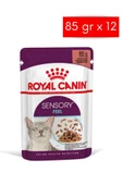 Royal Canin Sensory Feel Gravy 85 Grx12 Adet Kedi Konservesi thumbnail 1