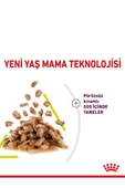 Royal Canin Sensory Smell Gravy 85 Grx12 Adet Kedi Konservesi thumbnail 3