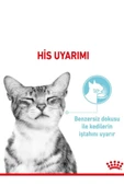 Royal Canin Sensory Feel Gravy 85 Grx12 Adet Kedi Konservesi thumbnail 2