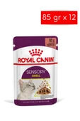 Royal Canin Sensory Smell Gravy 85 Grx12 Adet Kedi Konservesi thumbnail 1