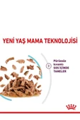 Royal Canin Sensory Feel Gravy 85 Grx12 Adet Kedi Konservesi thumbnail 3