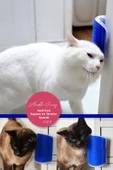 Pratik Kedi Tüyü Kaşıma Ve Tarama Aparatı Duvara Monte Kaşıma Aleti, Nane Otu Hediye - 1