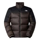 The North Face M DIABLO DOWN 2.0 JACKET Erkek Ceket NF0A89930BI1 thumbnail 1