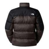 The North Face M DIABLO DOWN 2.0 JACKET Erkek Ceket NF0A89930BI1 thumbnail 2