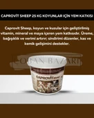 Royal İlaç Caprovit Sheep 25 Kg Koyunlar Için Yem Katkısı thumbnail 1