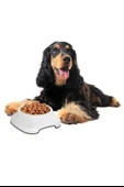 BUFFER® Silikon Kaydırmaz Taban Plastik Kedi ve Köpek Mama ve Su Kabı 2 L - 6