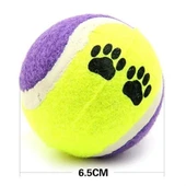 BUFFER®  3lü Renkli Desenli Tenis Topu Kedi Köpek Oyuncağı - 4