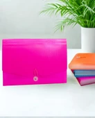 Körüklü Dosya 13 Bölümlü Cepli - Pembe - 1