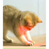 Otomatik Lazer Oyun Tasması thumbnail 7