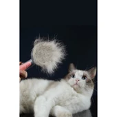Otomatik Tuşlu Kendini Temizleyen Kedi Köpek Tarağı - 3