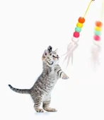 Elastik Yapışkanlı Kedi Oyun Oltası thumbnail 4