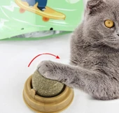 Kedi Otu Oyun Topu - 7