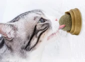 Kedi Otu Oyun Topu - 6