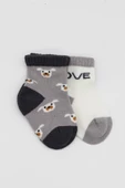 Bistyle Love Dog Penye Soket Çorap 2'Li BS10118 Gri thumbnail 2